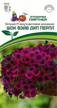 Петуния шок вэйв дип перпл