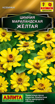 Цинния мариландская Жёлтая