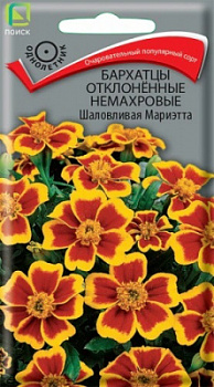 Бархатцы отклоненные немахровые Шаловливая Мариэтта