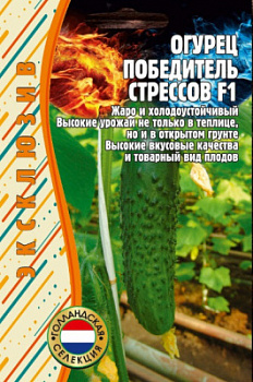 Победитель стрессов
