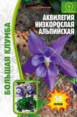 Аквилегия альпийская