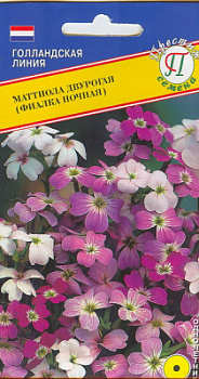 Маттиола Ночная фиалка