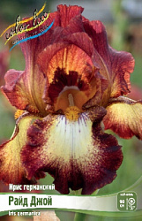 Iris germanica Ride Joy