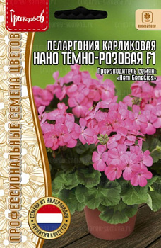 Пеларгония Нано Темно-розовая