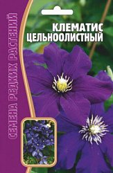 Клематис цельноолистный