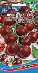 tomat-cherri-vishnya-chernaya