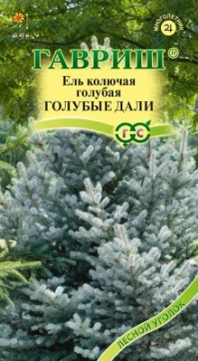 Ель