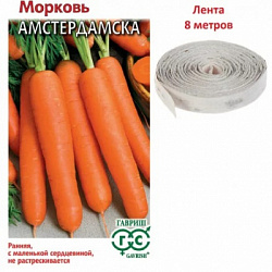 Морковь на ленте Амстердамска