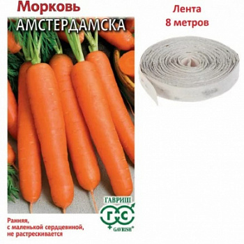 Морковь на ленте Амстердамска