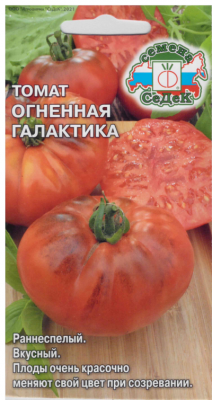 Томат Огненная галактика
