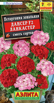 Пеларгония Дансер F2 Ланкастер, смесь сортов_ЦП