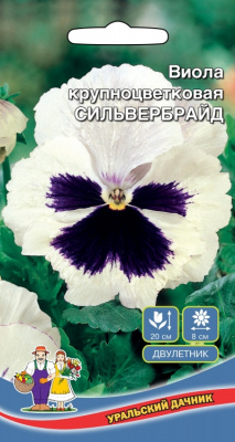 viola-krupnocvetkovaya-silverbrayd