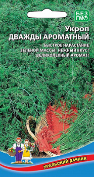 ukrop-dvazhdy-aromatnyy
