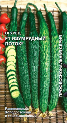 ogurets_izumrudnyy_potok_f1