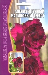 adenium-tuchnyj-malinovyj-desert