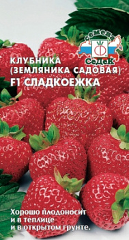 klubnika_zemlyanika_sadovaya_sladkoezhka_f1