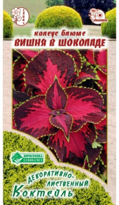 Колуес Вишня в шоколаде