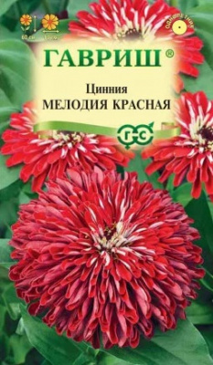 Цинния Мелодия Красная