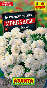 Астра Монпансье белая_ЦП