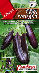 Баклажан Чудо гроздья