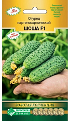 Шоша