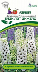 Дельфиниум Блэк Айт Энжелс