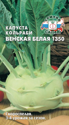 kapusta_venskaya_belaya_1350