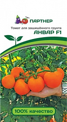 Томат Анвар