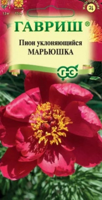 Пион Марьюшка