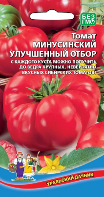 tomat-minusinskiy-uluchshennyy-otbor