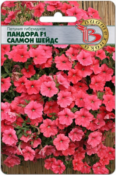 Петуния Пандора салмн Шейдс