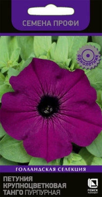 petunia_krupnocvet_tango_purpurnaya