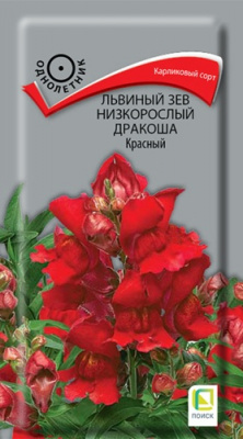 lviniy_zev_nizkorosliy_drakosha_krasniy