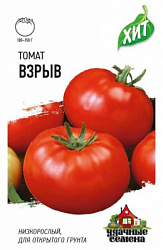 Томат Взрыв хит