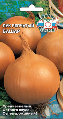 luk_bashar_1