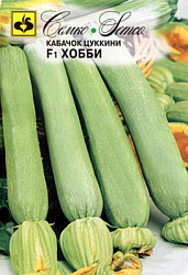 kabachok_cukkini_hobbi