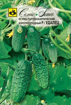 ogurec_udalec