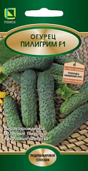 Огурец Пилигрим