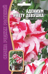 Адениум