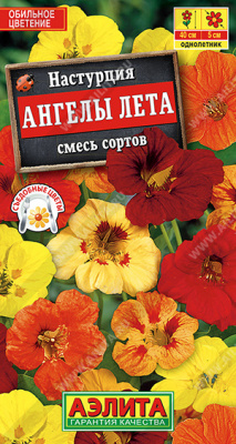 Настурция ангелы лета
