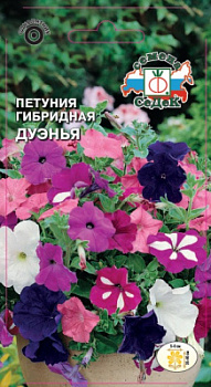 petuniya_duenya_gibridnaya