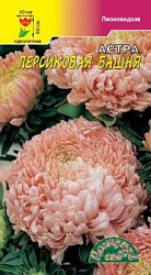 Астра башня персиковая