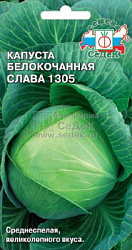 kapusta_slava_1305
