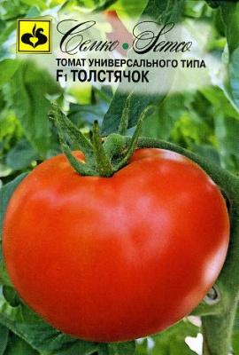 tomat_tolstyachok_p