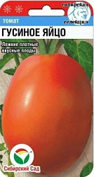 гусиное яйцо