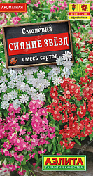 Смолевка Сияние звезд,