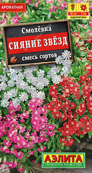 Смолевка Сияние звезд,