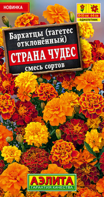 Бархатцы Страна чудес отклоненные, смесь сортов_ЦП