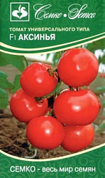 Аксинья