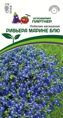 Лобелия ривьера марине блю